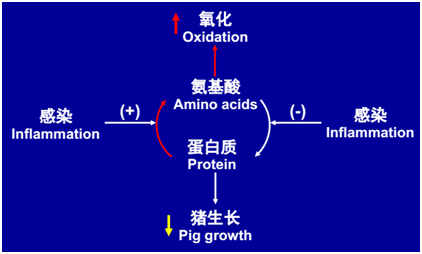 http://www.maritechchina.com/