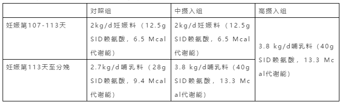 试验